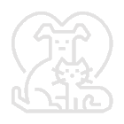 Home Sitting Free Img